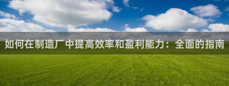 彩神旗下有哪些平台：如何在制造厂中提高效率和盈利能力：全面的指南