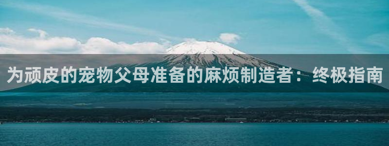 彩神大发官网：为顽皮的宠物父母准备的麻烦制造者：终极指南