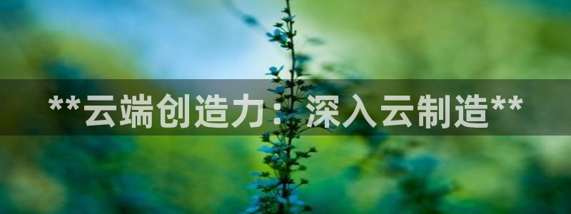 所有彩神购买首页：**云端创造力：深入云制造**