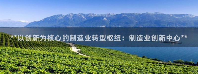彩神xapp官方网站：**以创新为核心的制造业转型枢纽：制造