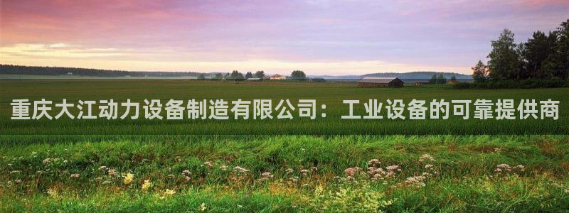 彩神vlll官网网上购彩：重庆大江动力设备制造有限公司：工业设备的可靠提供商
