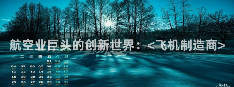 彩神到底能不能赚钱：航空业巨头的创新世界：<飞机制造商>