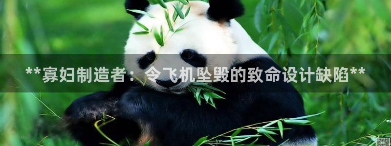 彩神v8是一个什么平台游戏：**寡妇制造者：令飞机坠毁的致命设计缺陷**