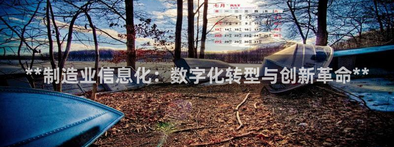 彩神ix官网是哪个公司的：**制造业信息化：数字化转型与创新
