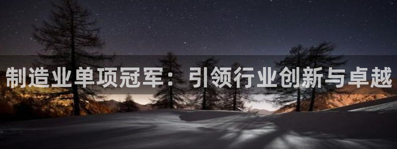 彩神velcome购彩大厅：制造业单项冠军：引领行业创新与卓越