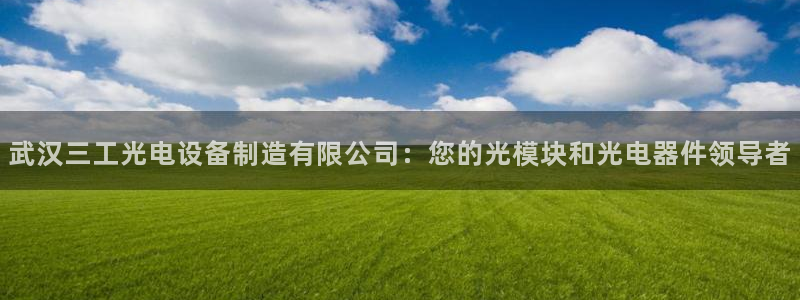 彩神v8下载：武汉三工光电设备制造有限公司：您的光模块和光电器件领导者