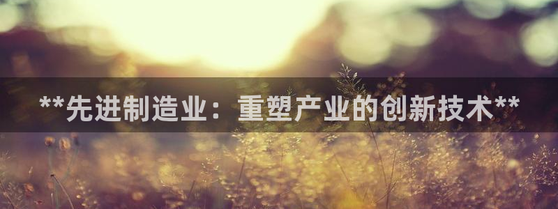彩神争霸官方下载2017：**先进制造业：重塑产业的创新技术**