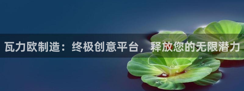 彩神邀请码:00-00-3267：瓦力欧制造：终极创意平台，