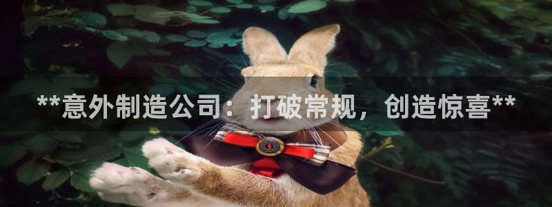 彩神 好 平台：**意外制造公司：打破常规，创造惊喜**