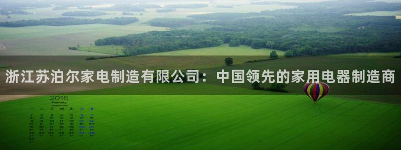 彩神8官网下：浙江苏泊尔家电制造有限公司：中国领先的家用电器制造商