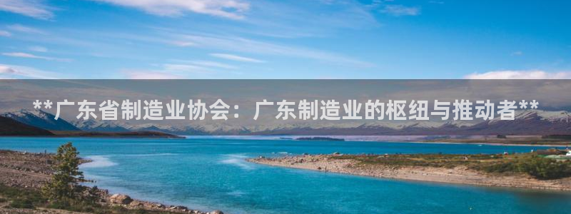 彩神ix是真的吗：**广东省制造业协会：广东制造业的枢纽与推动者**