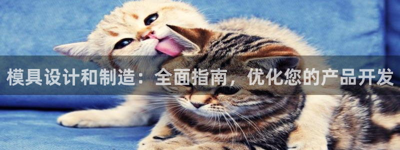 彩神viii是正规平台吗?：模具设计和制造：全面指南，优化您的产品开发