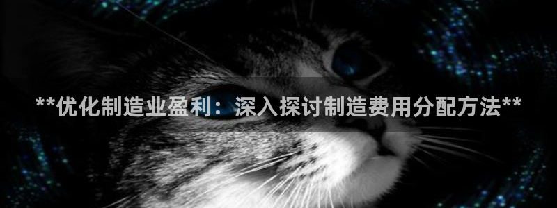 彩神8软件下载：**优化制造业盈利：深入探讨制造费用分配方法**
