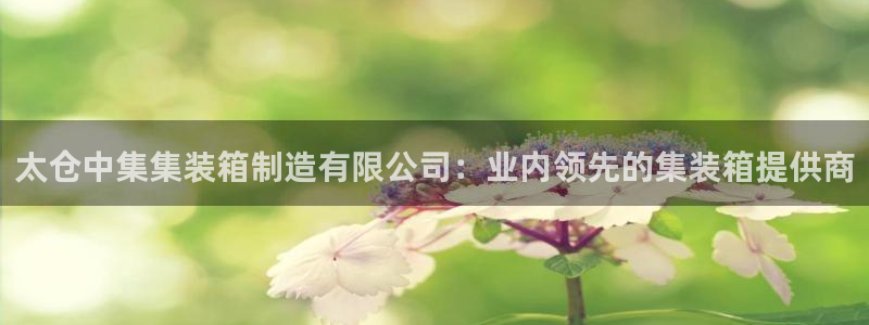 彩神vll官网-最新版app下载：太仓中集集装箱制造有限公司：业内领先的集装箱提供商