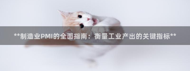 彩神平台能提现吗：**制造业PMI的全面指南：衡量工业产出的关键指标**