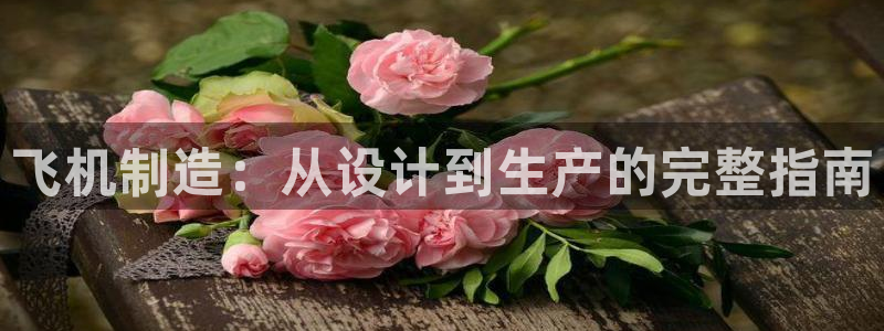 大发彩神最高邀请码：飞机制造：从设计到生产的完整指南
