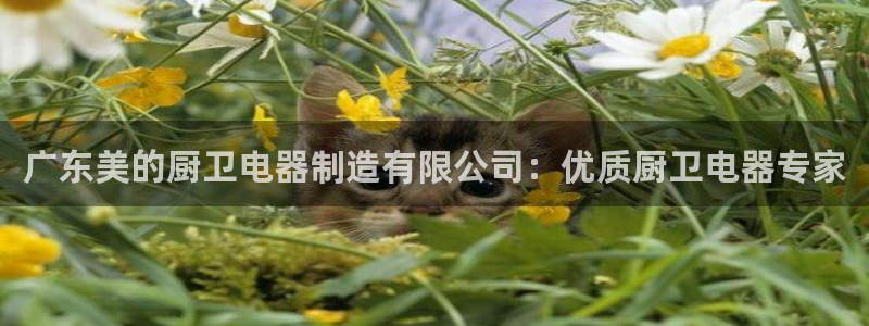 彩神vll趣投彩：广东美的厨卫电器制造有限公司：优质厨卫电器专家