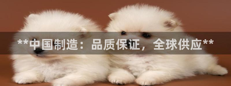 彩神v：**中国制造：品质保证，全球供应**