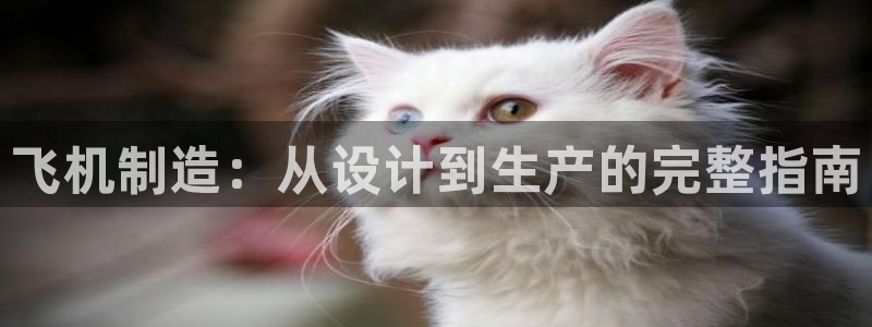 彩神v8客户端