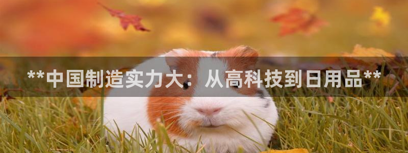 彩神v8官网版：**中国制造实力大：从高科技到日用品**