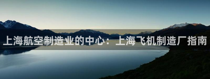 彩神ix能赚钱吗：上海航空制造业的中心：上海飞机制造厂指南