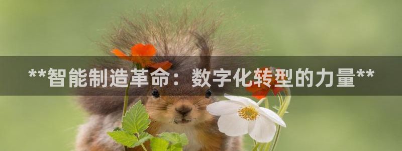 彩神赢钱了吗知乎：**智能制造革命：数字化转型的力量**