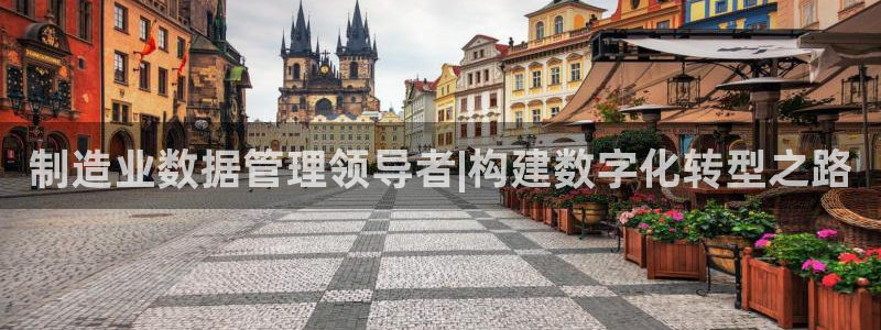 彩神ios下载：制造业数据管理领导者|构建数字化转型之路