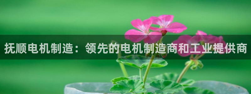 下载彩神通关注码：抚顺电机制造：领先的电机制造商和工业提供商