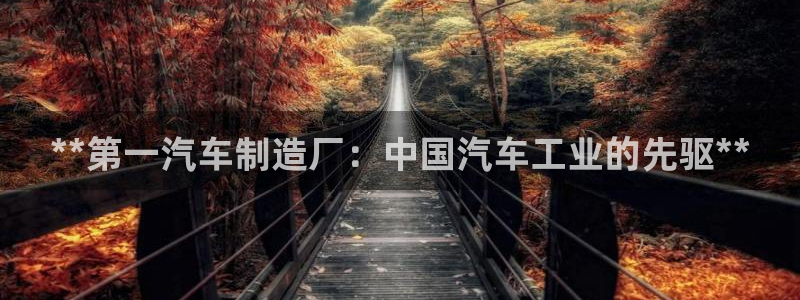 彩神v网赌软件下载