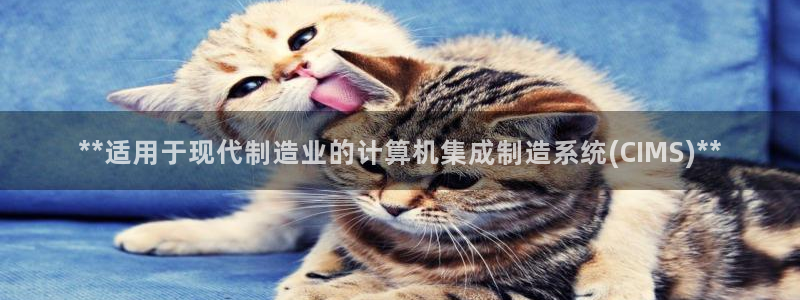 彩神v8是一个什么平台啊：**适用于现代制造业的计算机集成制造系统(CIMS)**