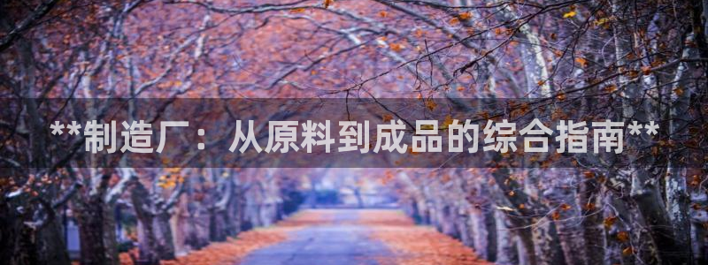 彩神是什么平台的游戏：**制造厂：从原料到成品的综合指南**