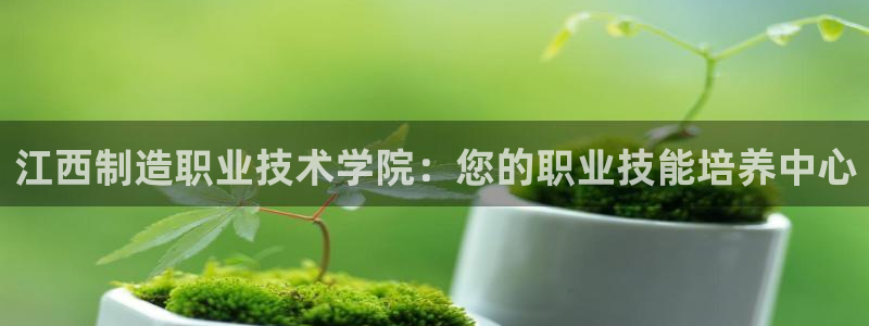彩神app赚钱是真是假：江西制造职业技术学院：您的职业技能培