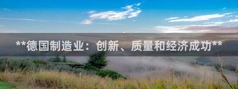 彩神vii手游下载：**德国制造业：创新、质量和经济成功**