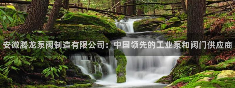 彩神网合法吗：安徽腾龙泵阀制造有限公司：中国领先的工业泵和阀门供应商