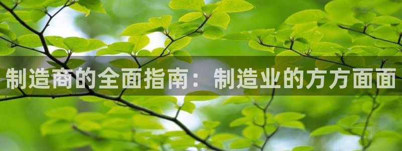 彩神v8是一个什么平台游戏：制造商的全面指南：制造业的方方面