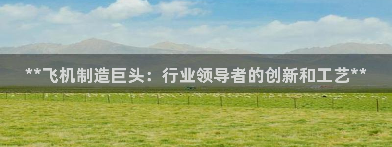 彩神邀请码:00-00-3267：**飞机制造巨头：行业领导
