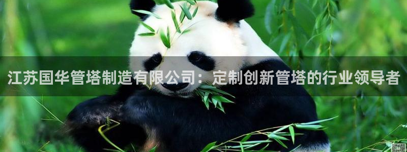 彩神v8手机客户端：江苏国华管塔制造有限公司：定制创新管塔的行业领导者
