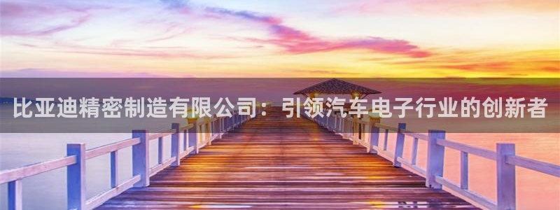 彩神是什么平台：比亚迪精密制造有限公司：引领汽车电子行业的创新者