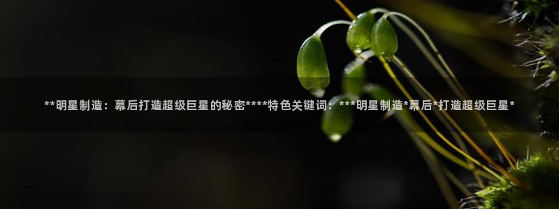 彩神争霸平台：**明星制造：幕后打造超级巨星的秘密****特