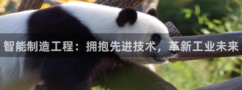 彩神Vii购彩-购彩大厅：智能制造工程：拥抱先进技术，革新工业未来