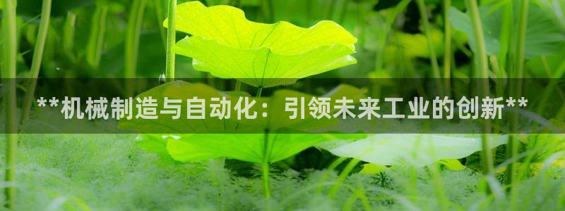 彩神到底能不能赚钱：**机械制造与自动化：引领未来工业的创新**