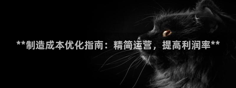 彩神是正规平台吗：**制造成本优化指南：精简运营，提高利润率**