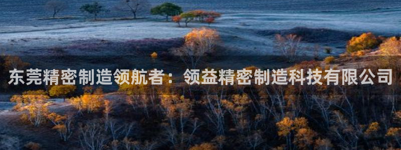 彩神旗下有哪些平台：东莞精密制造领航者：领益精密制造科技有限