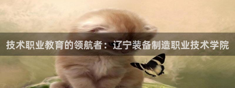 新版彩神v8登录教程：技术职业教育的领航者：辽宁装备制造职业