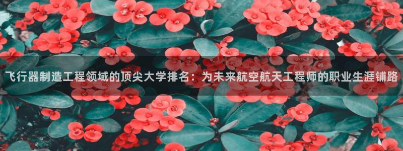彩神V3大赢家：飞行器制造工程领域的顶尖大学排名：为未来航空