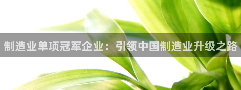 彩神平台是真的吗：制造业单项冠军企业：引领中国制造业升级之路