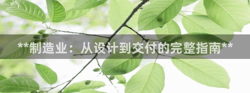 新版彩神v8登录不了：**制造业：从设计到交付的完整指南**
