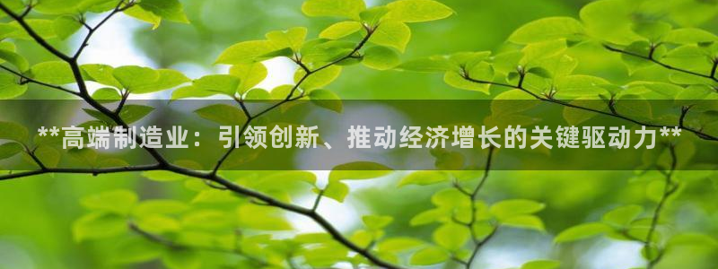 彩神ios下载：**高端制造业：引领创新、推动经济增长的关键驱动力**