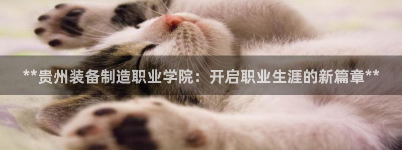 在彩神网输了六万多怎么拿回来：**贵州装备制造职业学院：开启职业生涯的新篇章**