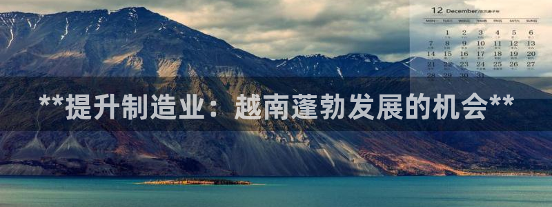 彩神v8是真的挣钱吗知乎：**提升制造业：越南蓬勃发展的机会**